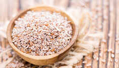 Psyllium