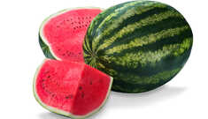 Nesse verão, aproveite para comer melancia!