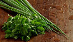 Salsinha e cebolinha: a dupla de temperos ideal para sua saúde!