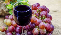 Resveratrol: Fonte da Juventude?