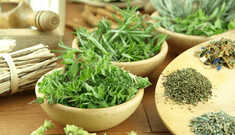 10 Hábitos Saudáveis para sua Vida