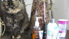 Cosméticos Queridinhos do Mês