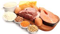Quais alimentos mais possuem proteínas?