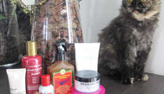 Cosméticos Queridinhos de 2016