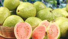 Benefícios da Goiaba