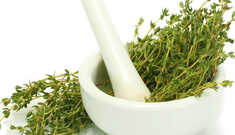 Tomilho: Erva Ideal para o Inverno
