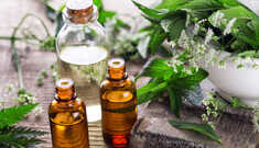 Repelente Natural com Óleos Essenciais