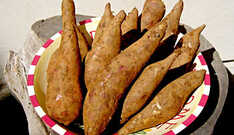 Batata Yacon, Você Conhece?