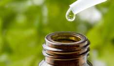 Óleo Essencial de Melaleuca (Tea Tree)