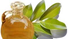 Você conhece o Óleo de Copaíba?