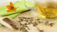 Chá de Erva-Doce: Delicioso Aliado contra a Má Digestão