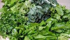 Folhas Verdes: A Chave para sua Boa Saúde