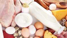 Proteína: Essencial para sua Saúde!