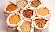 A importância dos grãos para sua saúde