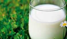 Leite Vegetal de Gergelim