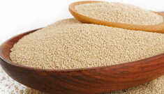 Benefícios do Levedo de Cerveja