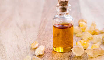 Conheça o Óleo Essencial de Olíbano