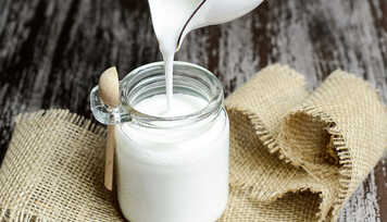 Kefir: Conheça esse Iogurte Muito Saudável