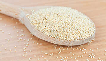 Amaranto: Grão de Altíssimo Valor Nutricional