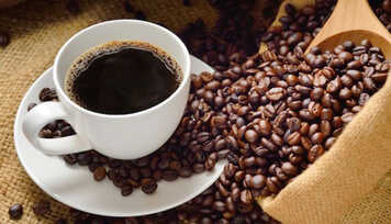 Café: uma Paixão com Muitos Benefícios à Saúde!