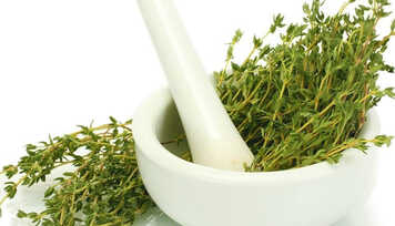 Tomilho: Erva Ideal para o Inverno