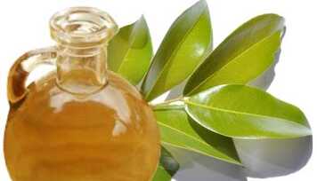 Você conhece o Óleo de Copaíba?