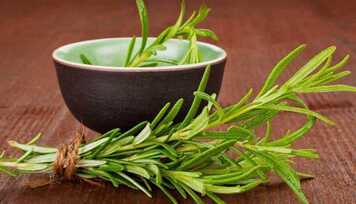 Óleo Essencial de Alecrim