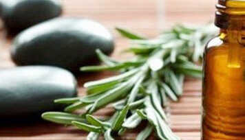 Receitas Naturais para Hidratar e Fortalecer os Cabelos