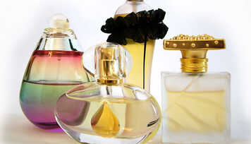 Nota 10 Nota 0 - Perfume