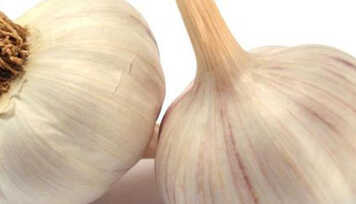 Os 9 Antibióticos Naturais Que Você Deve Conhecer