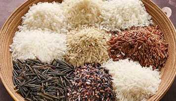 12 Alimentos sem Glúten