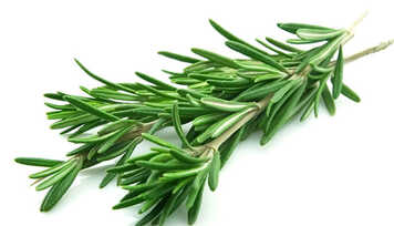 Utilidades do Chá de Alecrim