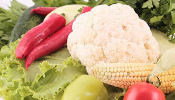 Alimentos Orgânicos