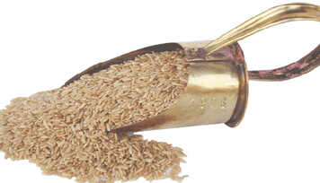 Arroz integral reduz a gordura abdominal