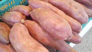 Gosta de batata? Conheça as mais saudáveis e nutritivas!