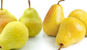 Você gosta de pera? Confira os benefícios!
