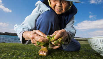Segredos da Longevidade: Como viver mais de 100 anos?
