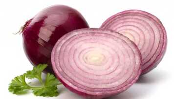 Cebola: Maravilha ao Alcance de Todos!