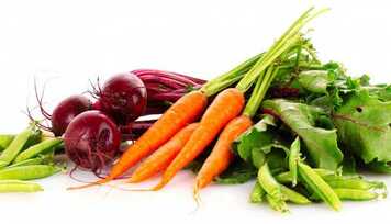 Como estão suas reservas de ferro no sangue? Entenda a ferritina.