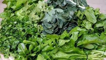 Folhas Verdes: A Chave para sua Boa Saúde