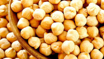 Grão-de-bico: o "Grão da Felicidade"