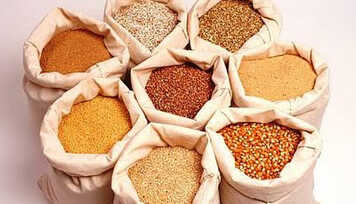 A importância dos grãos para sua saúde