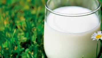 Leite Vegetal de Gergelim