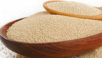 Benefícios do Levedo de Cerveja