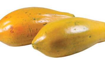 Benefícios do Mamão