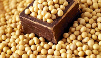 Você considera a soja um alimento saudável?