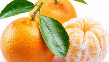 Ponkan e Mexerica: qual a diferença?