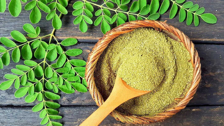 Você conhece a Moringa Oleífera?