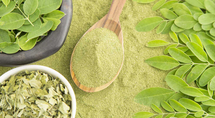 Você conhece a Moringa Oleífera?