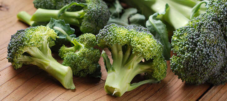 Brócolis: Tesouro Nutricional ao seu Alcance!